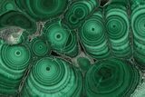 Polished Malachite Slab - Congo #233364-1